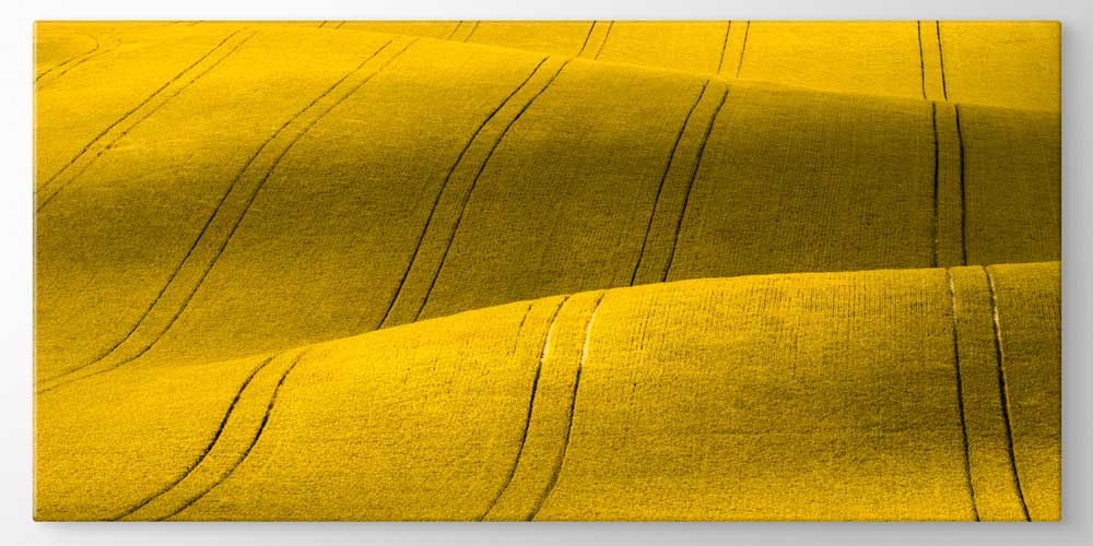 Altın Sarısı Tarla Manzarası Büyük Ebat Duvar Dekor Ürünü 12485