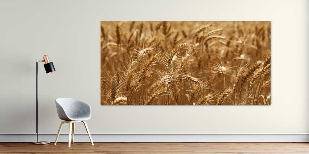 Buğday Başakları Detay Manzarası Büyük Ebat Duvar Dekor Ürünü 12487