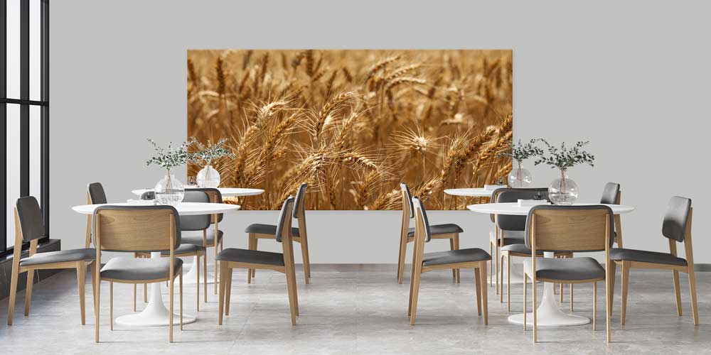 Buğday Başakları Detay Manzarası Büyük Ebat Duvar Dekor Ürünü 12487