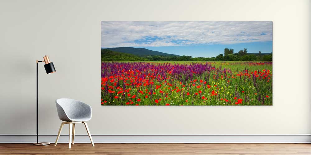 Renkli Kır Çiçekleri Tarlası Manzarası Büyük Ebat Duvar Dekor Ürünü 12491