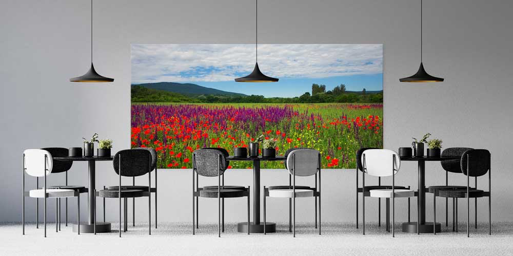 Renkli Kır Çiçekleri Tarlası Manzarası Büyük Ebat Duvar Dekor Ürünü 12491