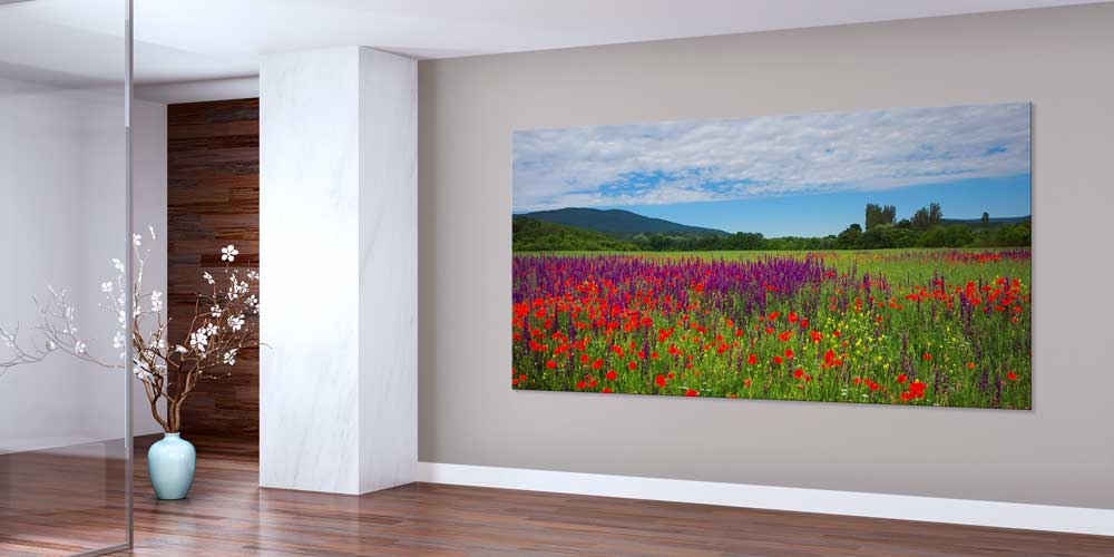 Renkli Kır Çiçekleri Tarlası Manzarası Büyük Ebat Duvar Dekor Ürünü 12491