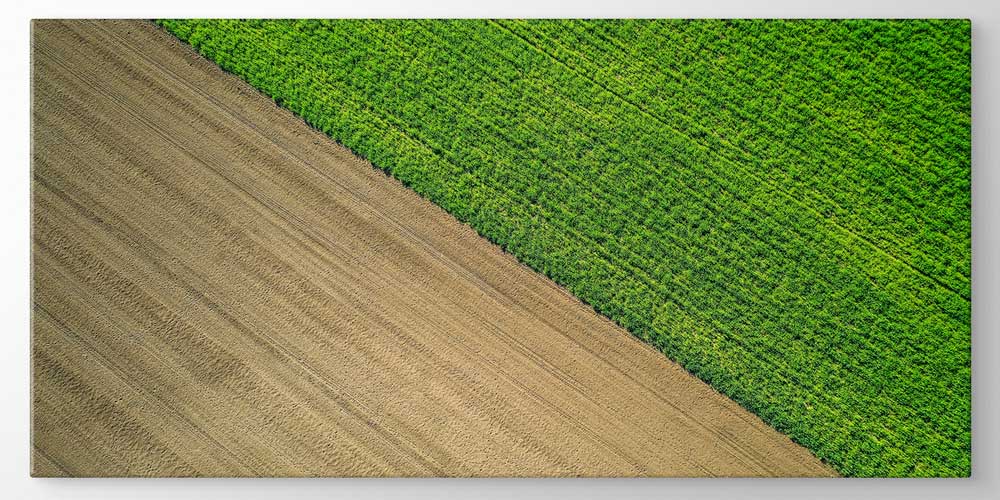Yeşil ve Sürülmüş Tarla Kontrastı Büyük Ebat Duvar Dekor Ürünü 12489