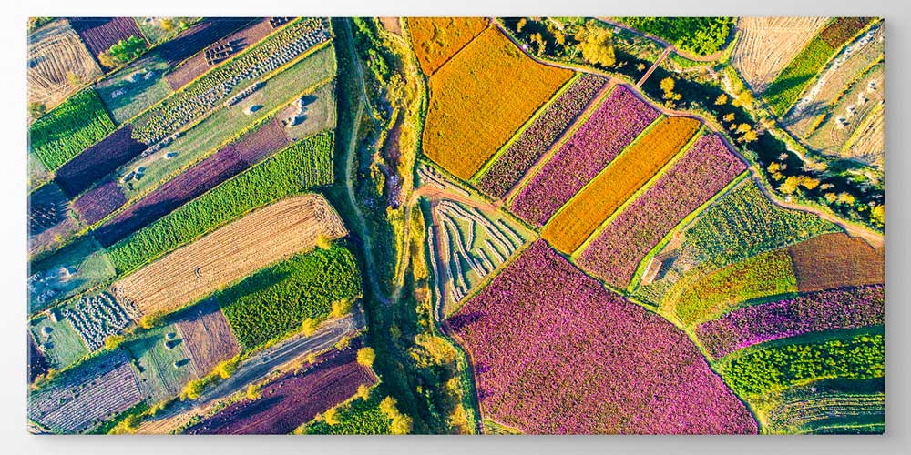Renkli Tarım Arazileri Havadan Görünüm Manzarası Büyük Ebat Duvar Dekor Ürünü 12493