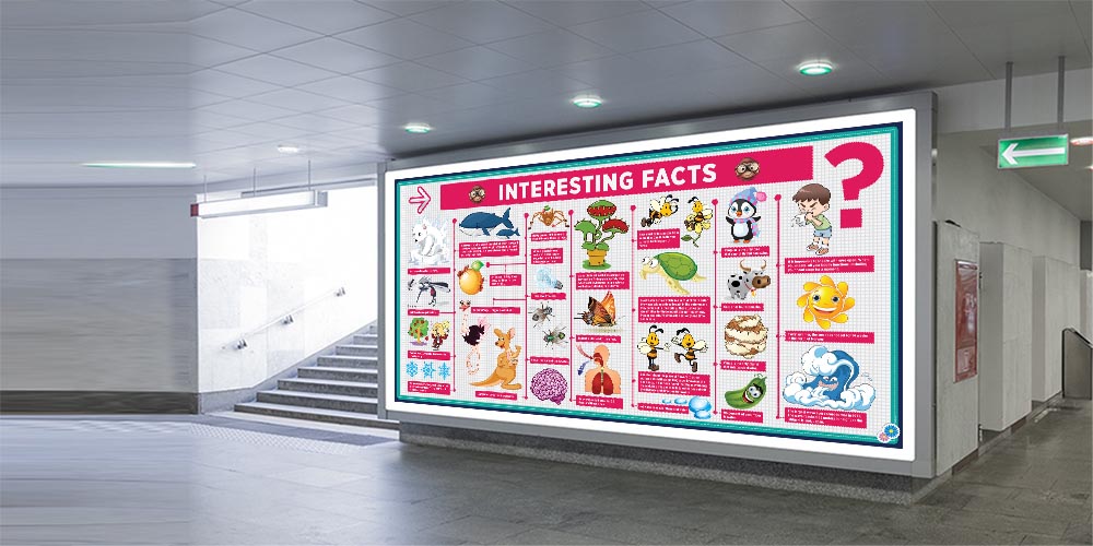 İlginç Gerçekler Bilim Posteri - Okul ve Sınıf Duvar Dekoru 4030