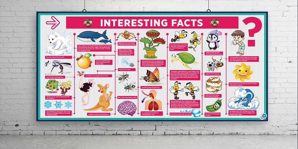 İlginç Gerçekler Bilim Posteri - Okul ve Sınıf Duvar Dekoru 4030