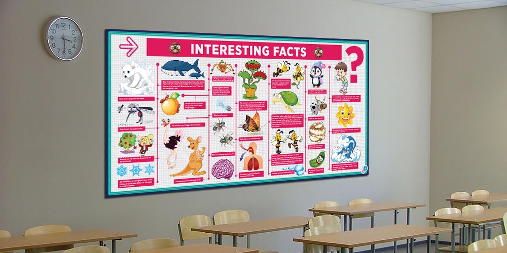 İlginç Gerçekler Bilim Posteri - Okul ve Sınıf Duvar Dekoru 4030