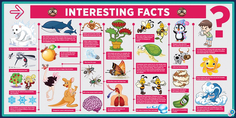 İlginç Gerçekler Bilim Posteri - Okul ve Sınıf Duvar Dekoru 4030