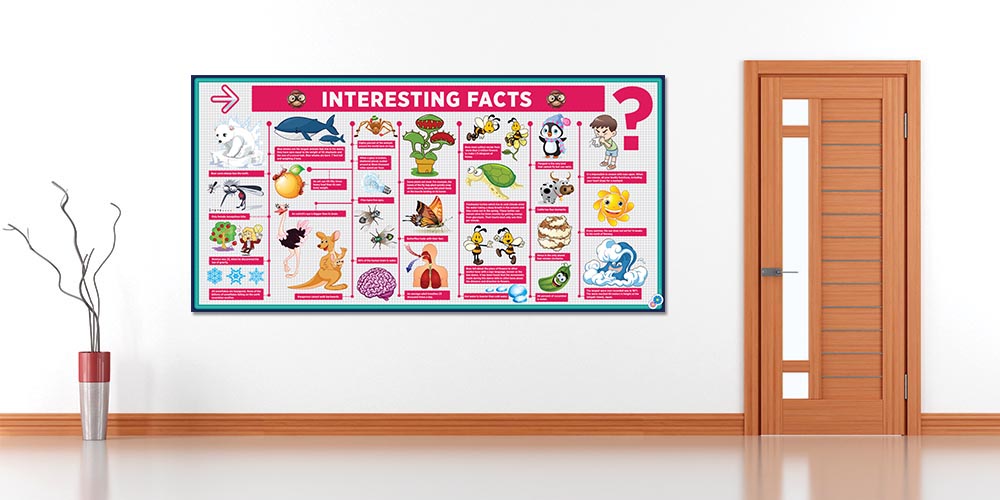 İlginç Gerçekler Bilim Posteri - Okul ve Sınıf Duvar Dekoru 4030