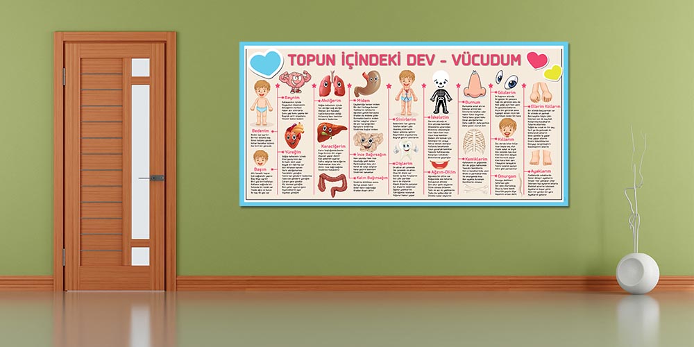 fen-sinifi-duvar-posterleri-f-428-04 Topun İçindeki Dev - Vücudum | Fen Bilimleri Eğitici Büyük Ebat Duvar Posteri F-428