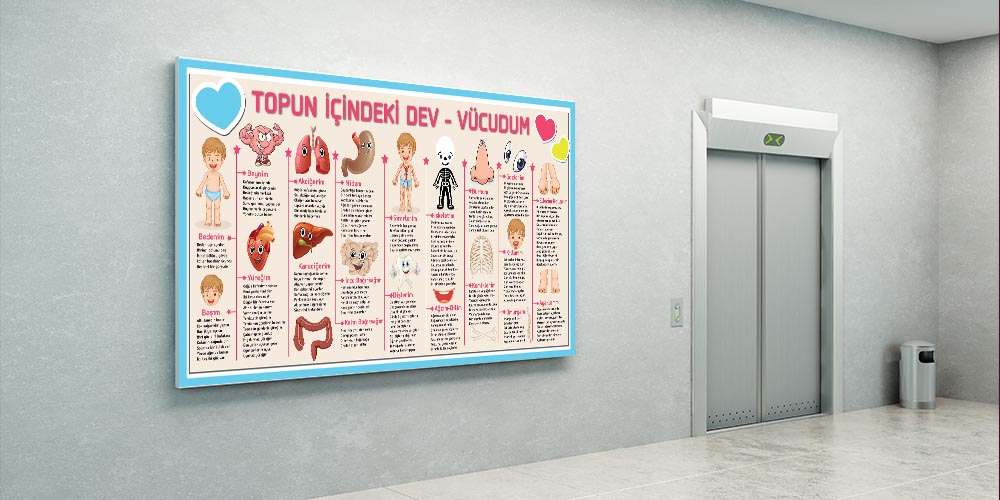 fen-sinifi-duvar-posterleri-f-428-05 Topun İçindeki Dev - Vücudum | Fen Bilimleri Eğitici Büyük Ebat Duvar Posteri F-428