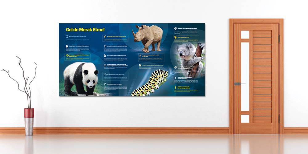 Büyük Boyut Fen Bilimleri ve Teknoloji Duvar Posteri - Eğitici Okul Dekorasyonu F-408