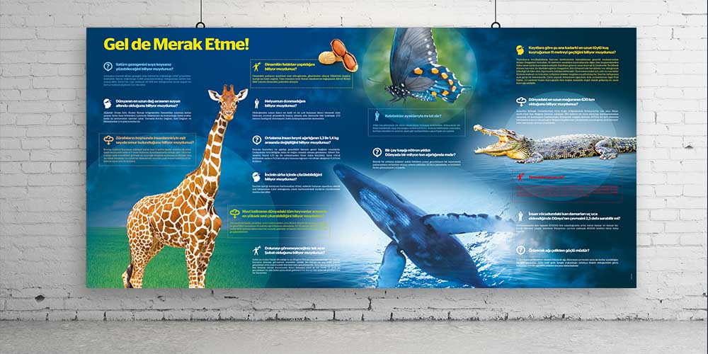 Büyük Boyut Fen Bilimleri ve Teknoloji Duvar Posteri - Eğitici Okul Dekorasyonu F-408