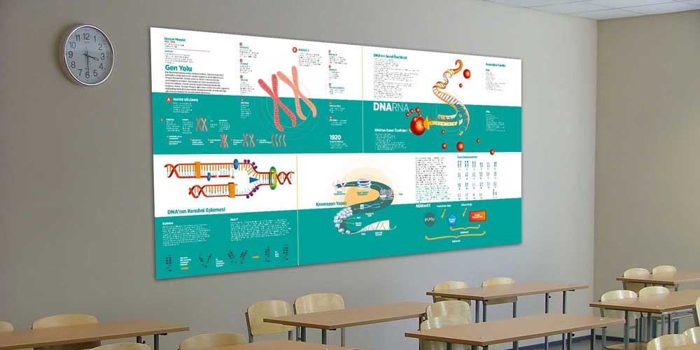 DNA ve Genetik Kod Büyük Ebat Fen Bilimleri Duvar Posteri F-413