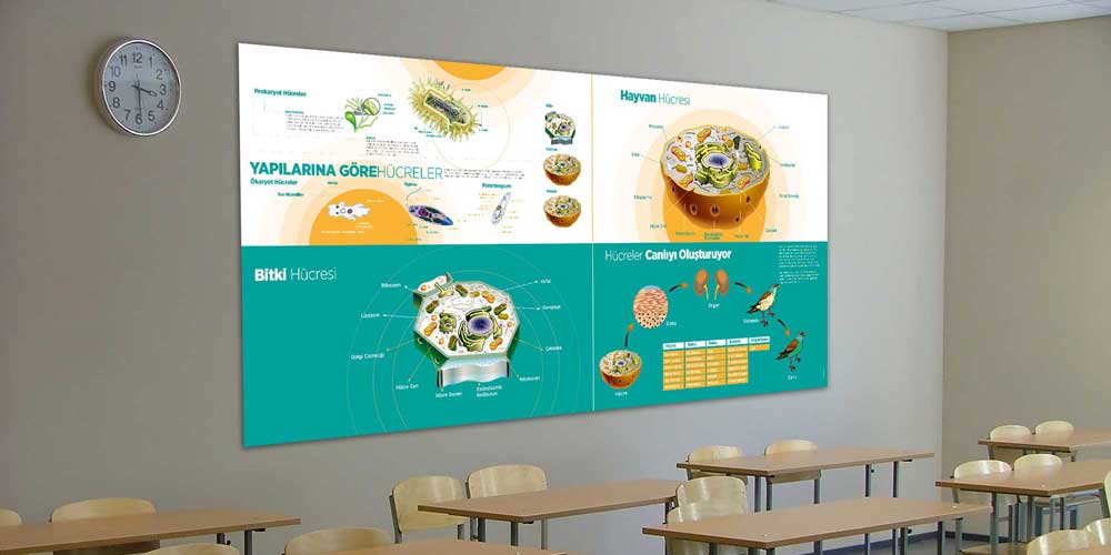 Fen Bilimleri ve Teknoloji Sınıfı Büyük Ebat Duvar Posteri F-414