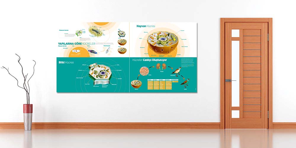 Fen Bilimleri ve Teknoloji Sınıfı Büyük Ebat Duvar Posteri F-414