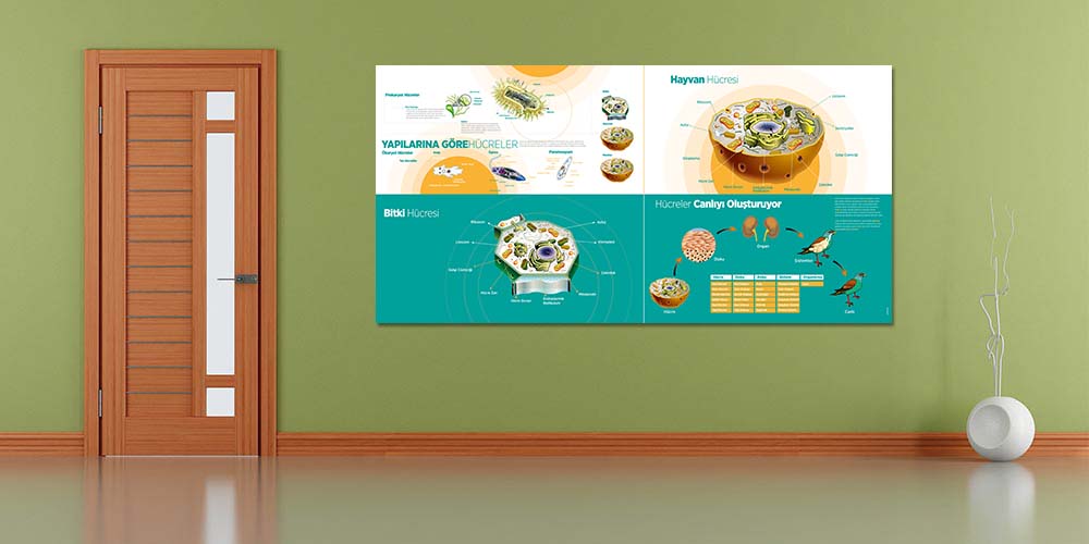 Fen Bilimleri ve Teknoloji Sınıfı Büyük Ebat Duvar Posteri F-414
