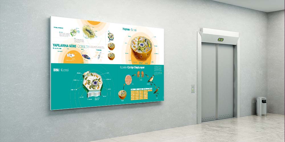 Fen Bilimleri ve Teknoloji Sınıfı Büyük Ebat Duvar Posteri F-414