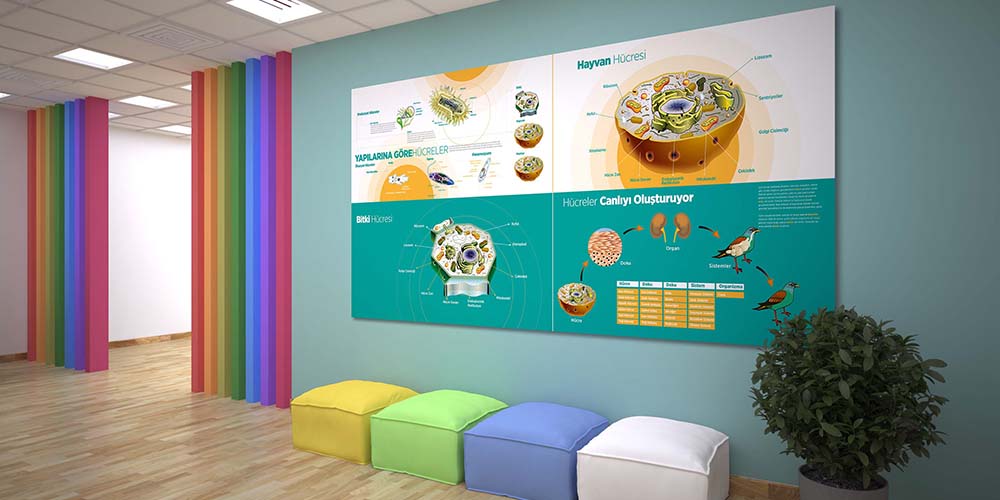 Fen Bilimleri ve Teknoloji Sınıfı Büyük Ebat Duvar Posteri F-414