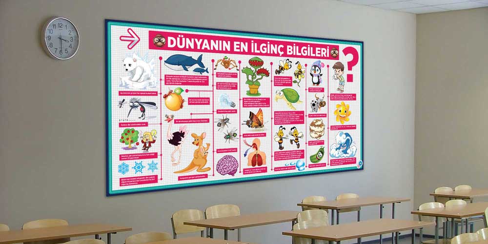 Dünyanın En İlginç Bilgileri Posterleri - Eğitici ve Eğlenceli Duvar Dekoru F-429