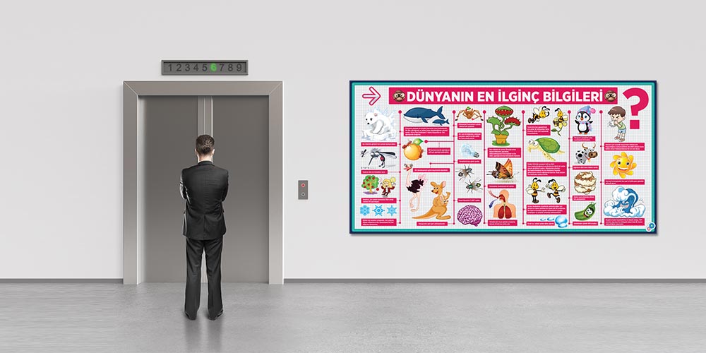 Dünyanın En İlginç Bilgileri Posterleri - Eğitici ve Eğlenceli Duvar Dekoru F-429