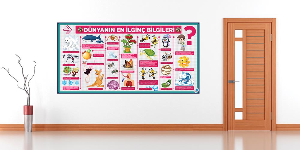 Dünyanın En İlginç Bilgileri Posterleri - Eğitici ve Eğlenceli Duvar Dekoru F-429