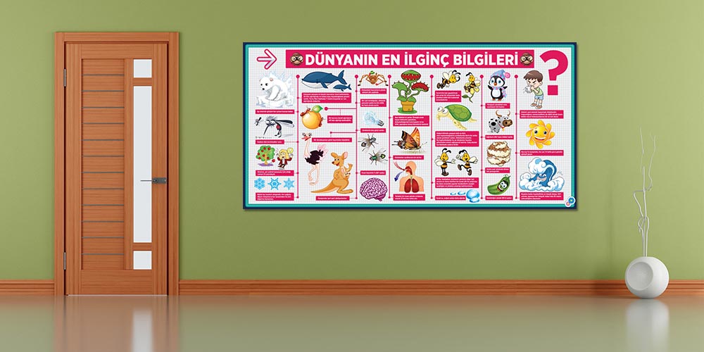 Dünyanın En İlginç Bilgileri Posterleri - Eğitici ve Eğlenceli Duvar Dekoru F-429