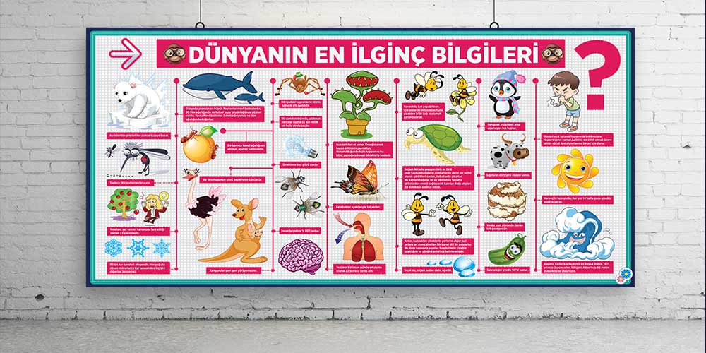 Dünyanın En İlginç Bilgileri Posterleri - Eğitici ve Eğlenceli Duvar Dekoru F-429
