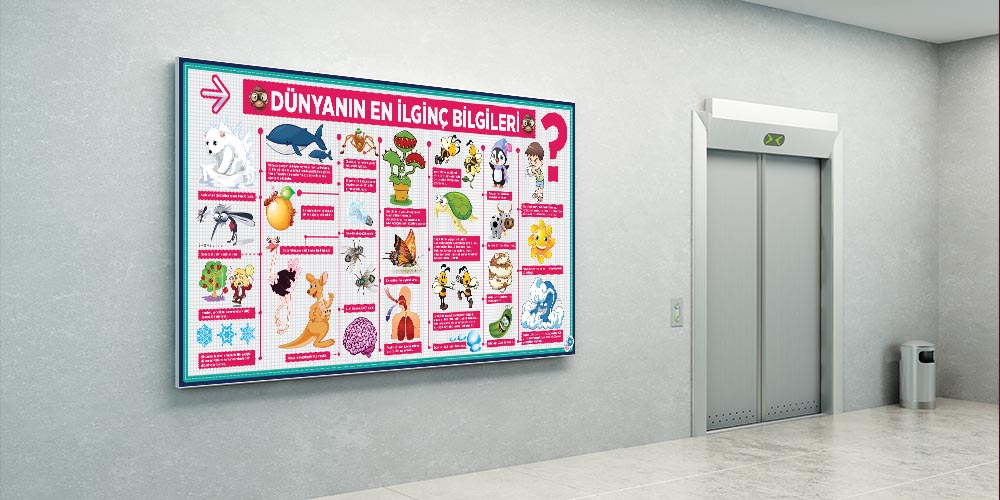 Dünyanın En İlginç Bilgileri Posterleri - Eğitici ve Eğlenceli Duvar Dekoru F-429
