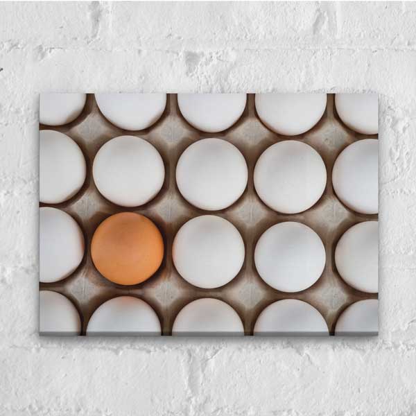 food-wall-art-decor-12247-05 Kahverengi Yumurtalar Arasında Farklılık Temalı Mutfak Sanatı Kanvas Tablo – 12247