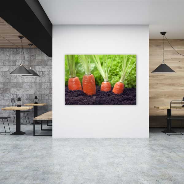 Topraktan Yükselen Havuçlar Temalı Mutfak Sanatı Kanvas Tablo – 12252