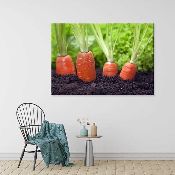 Topraktan Yükselen Havuçlar Temalı Mutfak Sanatı Kanvas Tablo – 12252