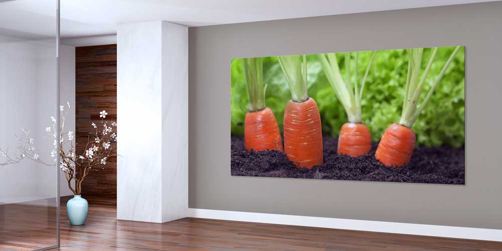 Toprakta Yetişen Havuçlar Temalı Büyük Ebat Duvar Dekoru – 12422