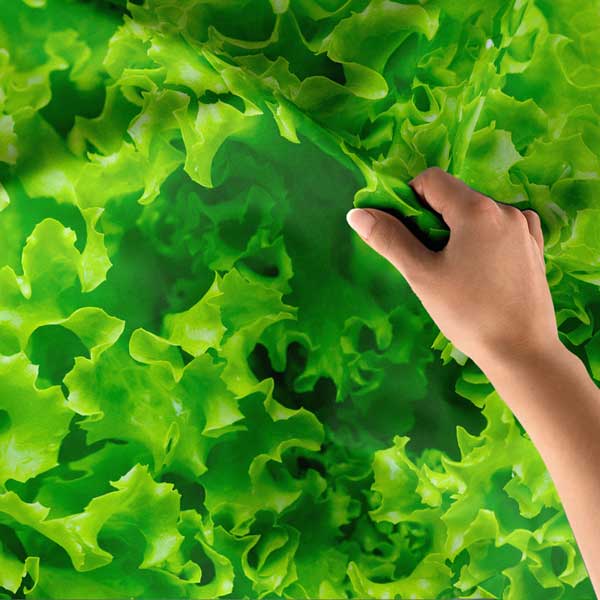 Marul Yaprakları Desenli Duvar Örtüsü 12518