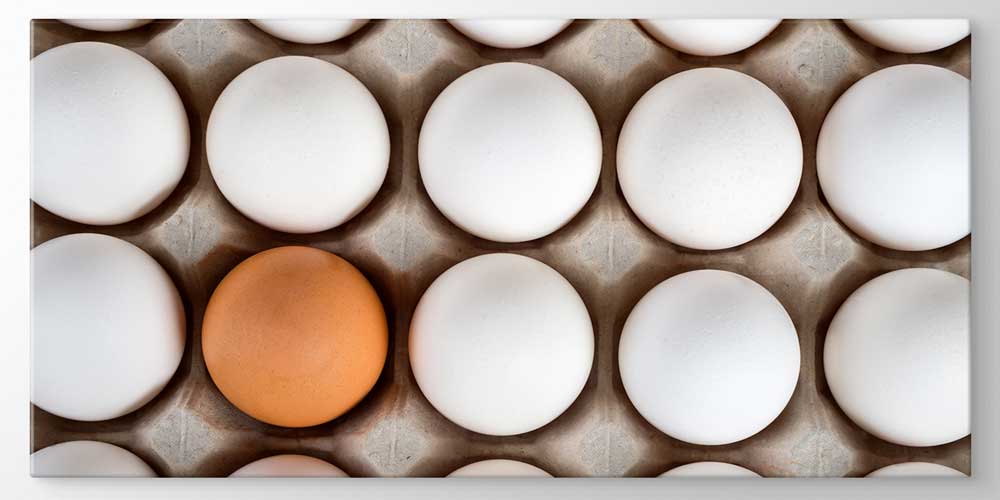 Yumurta Kompozisyonlu Büyük Ebat Duvar Dekoru – 12427