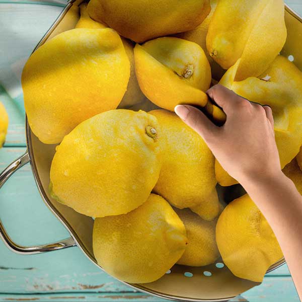 Limon Desenli Sağlıklı Beslenme Duvar Örtüsü Kumaş Baskı 12586