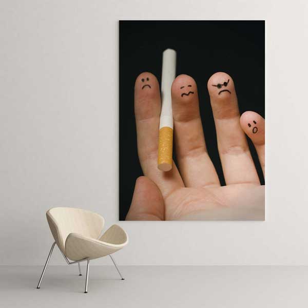 Sigaranın Zararları Duygulu Poster – 2008