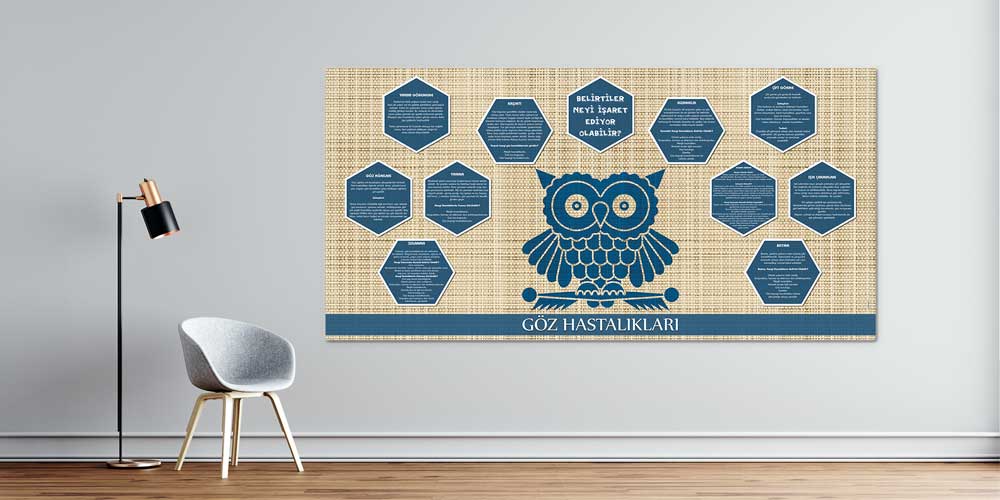 Göz Hastalıkları Belirti ve Bilgilendirme Duvar Panosu 1517
