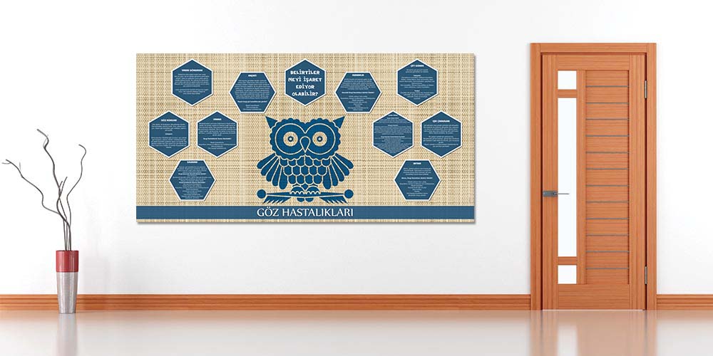 Göz Hastalıkları Belirti ve Bilgilendirme Duvar Panosu 1517