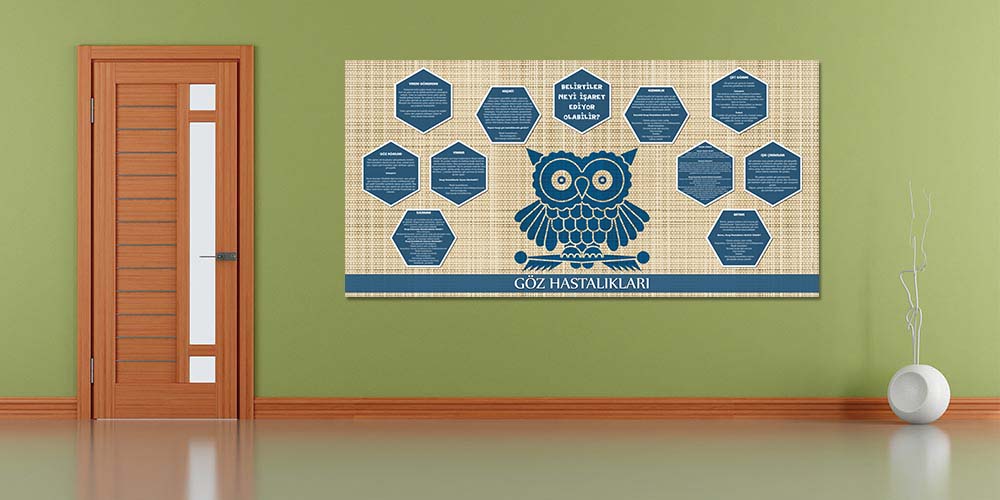 Göz Hastalıkları Belirti ve Bilgilendirme Duvar Panosu 1517