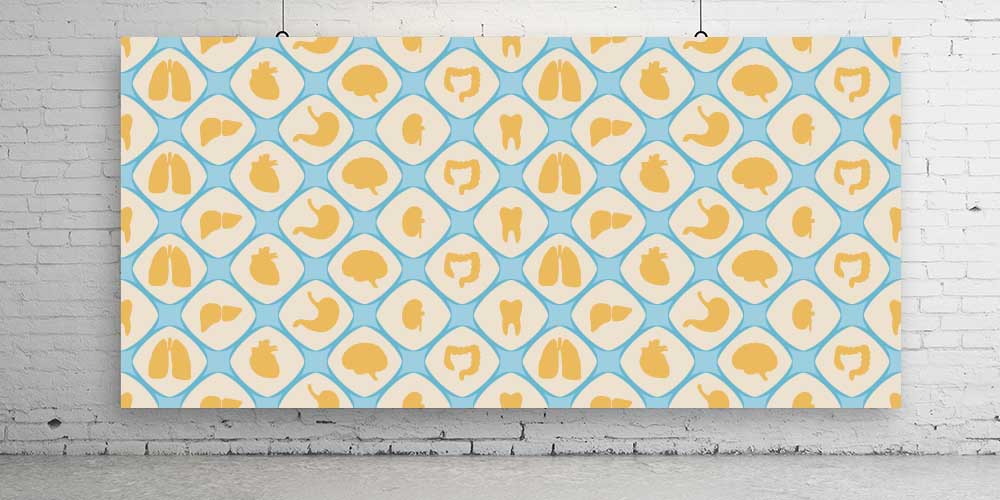 Organ İkon Desenli Medikal Duvar Kağıdı 2588