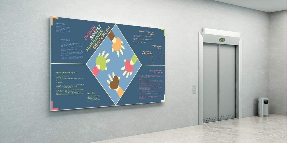 Organ Bağışı Hakkında Gerçekler Posteri (Büyük Ebat)  1673