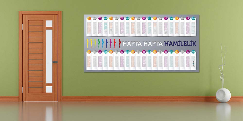 Hafta Hafta Hamilelik Bilgilendirme Posteri  1817