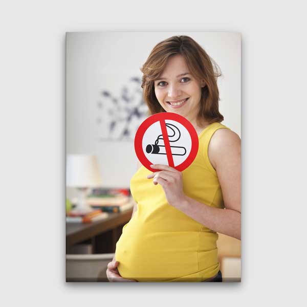Hamile Anne ve Sigara Yasaklı Posteri – 2009