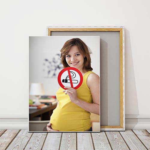 Hamile Anne ve Sigara Yasaklı Posteri – 2009