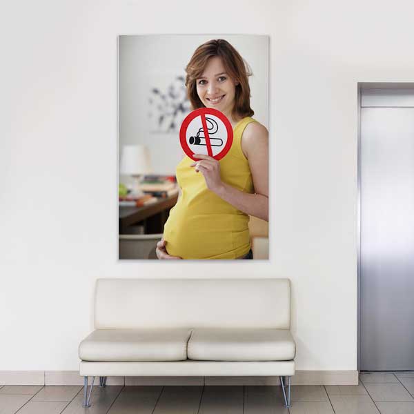 Hamile Anne ve Sigara Yasaklı Posteri – 2009