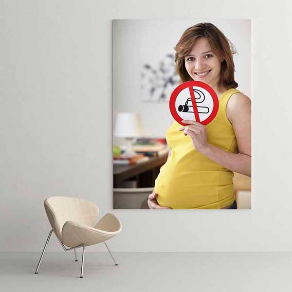 Hamile Anne ve Sigara Yasaklı Posteri – 2009