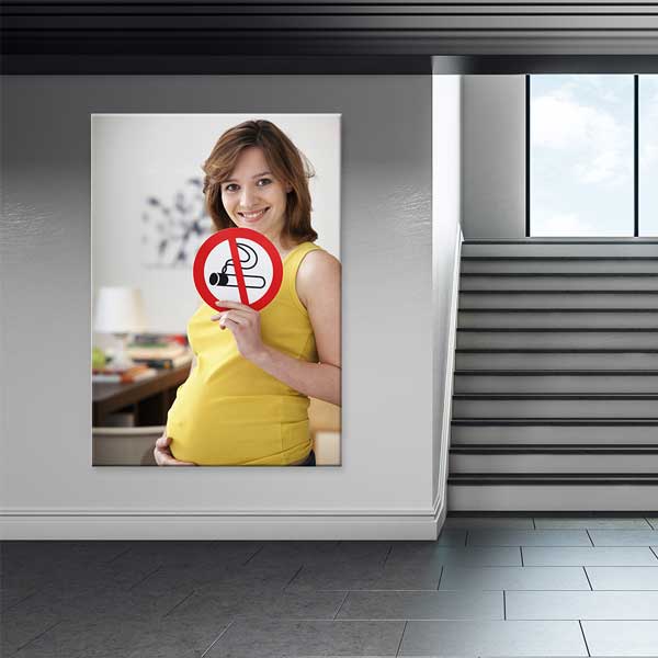 Hamile Anne ve Sigara Yasaklı Posteri – 2009
