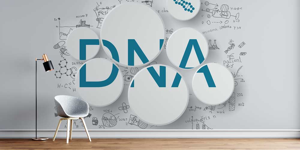 DNA Temalı Bilimsel Graffiti Duvar Giydirme 2582