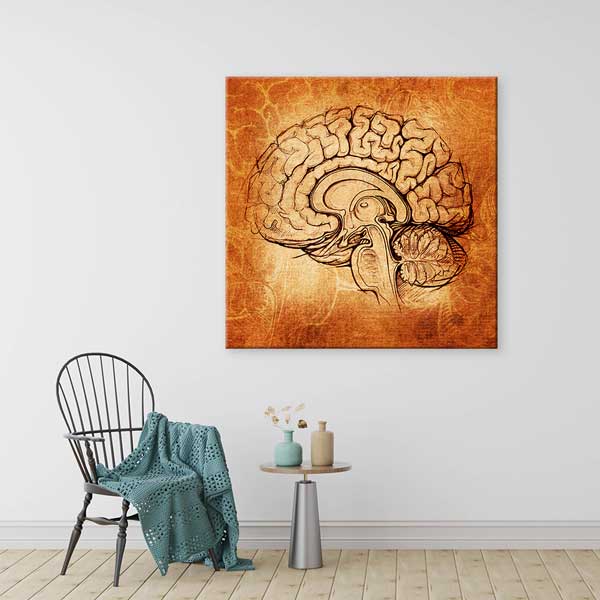 Vintage Beyin Kesiti Çizimi Kanvas Tablo – 1219